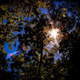 Image for article titled Shooting Challenge: Lens Flare Gallery Part Two